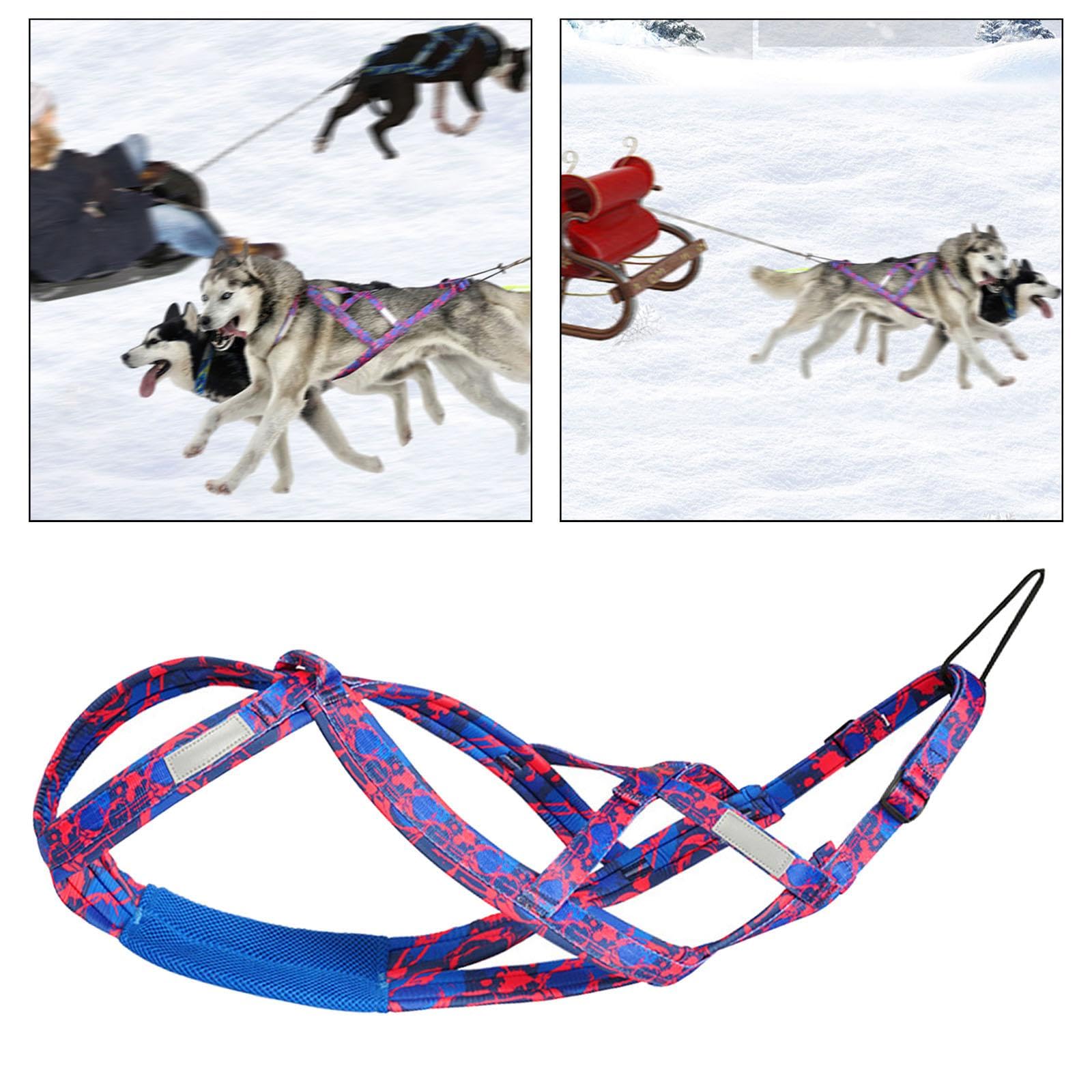 Harilla Arnés para Perros para Correr, Arnés de, Entrenamiento de Velocidad, Profesional, Arnés para Trineo, Rosa Rojo XL