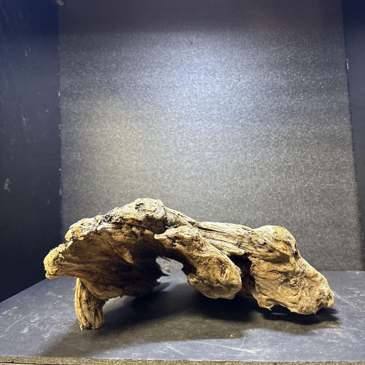 金魚 アート 祭 樹脂金魚 誕生日 プレゼント 贈り物 ギフト 置物 水草