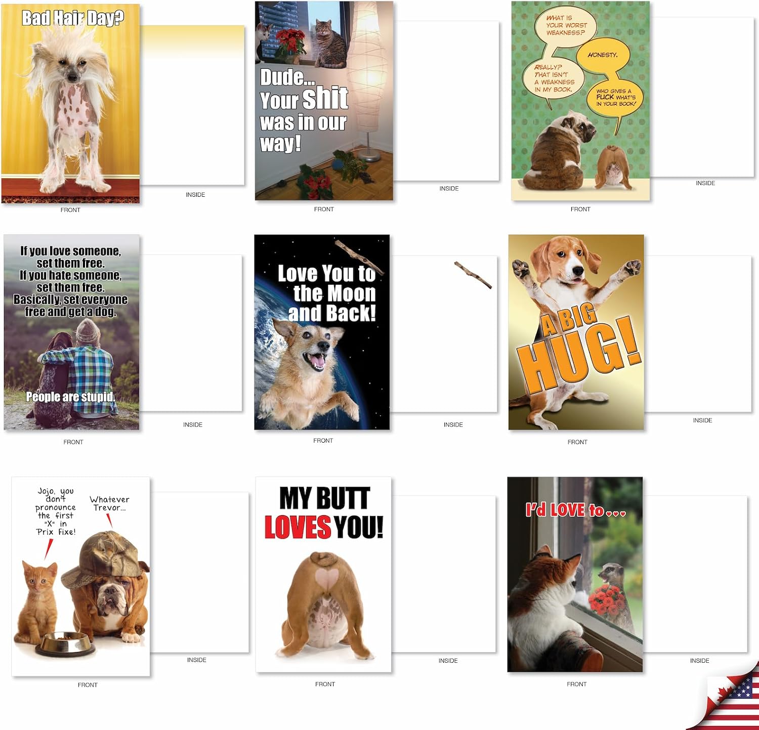 NobleWorks - 36 Assorted Funny Blank Animal Greeting Cards Box Set w/Envelopes, All Occasions Humor Friendship Notes for Men, Women (36 Designs, 1 Each), Our Pet Collection AC6654OCB-B1x36