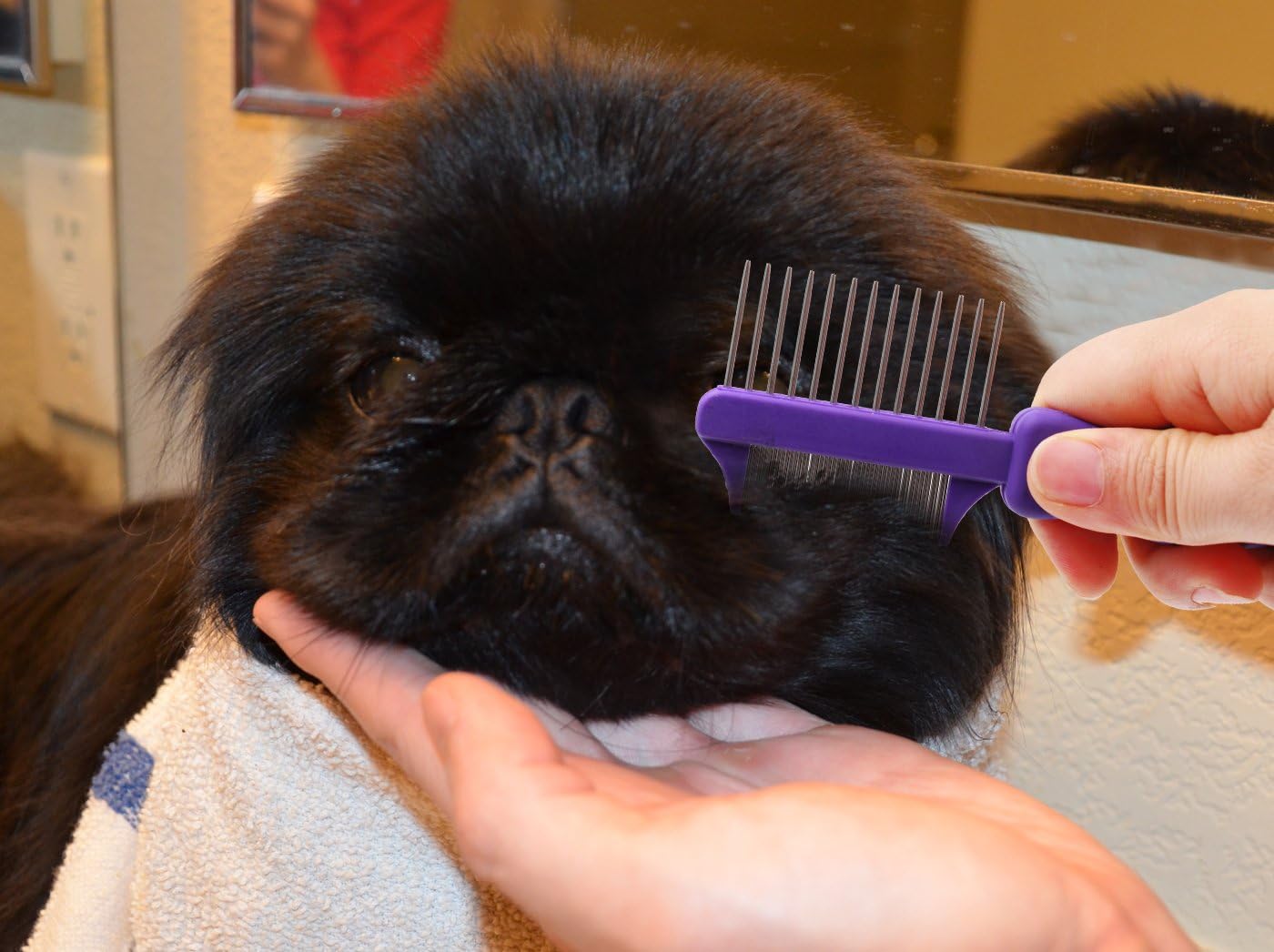 HERTZKO Double Sided Flea Comb Densely Packed Pins Removes Fleas, Flea Eggs, and Debris, and The Wider Spaced Pins Detangles and Loosens Dead Undercoat - Suitable for Dogs and Cats : Pet Supplies