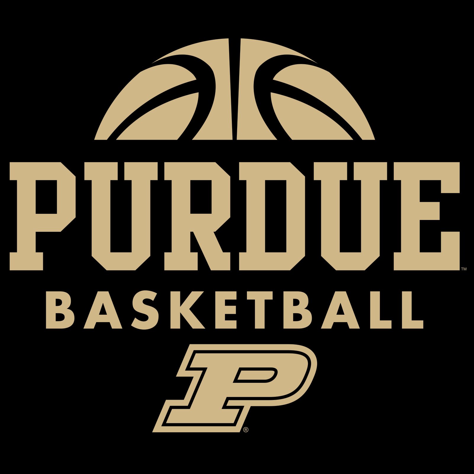 UGP Campus Apparel Purdue Boilermakers Basketball Hype Mens T-Shirt - Large - Black