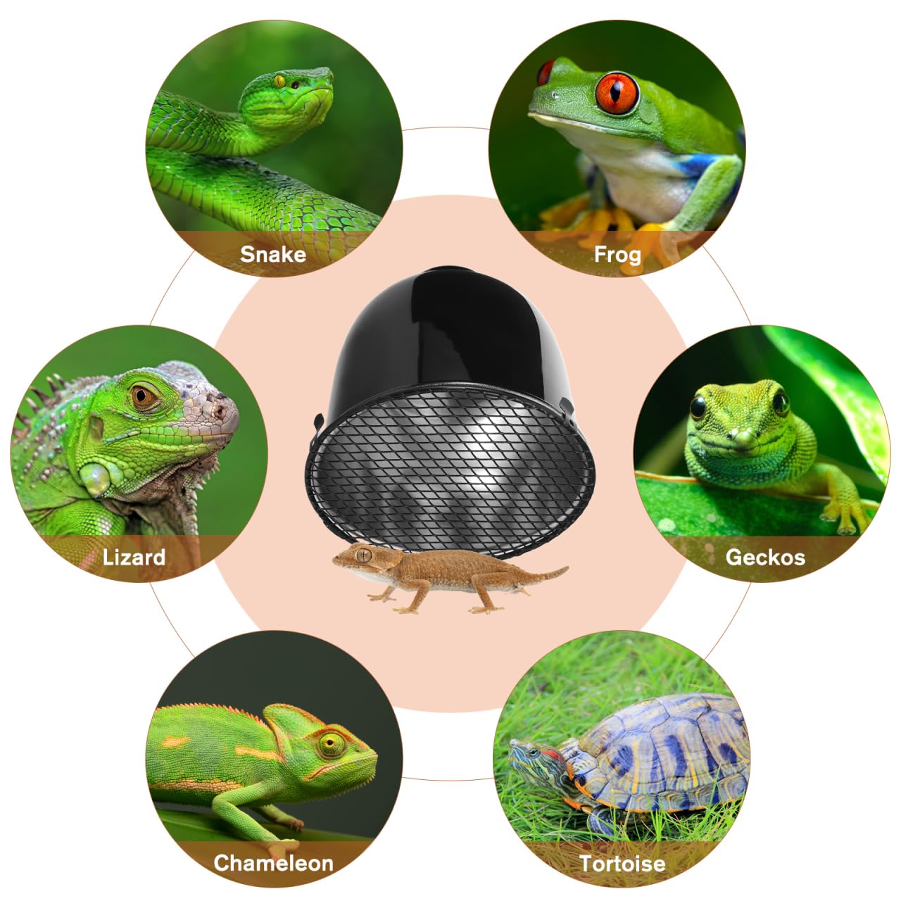SHINEOFI Reptilienbeheizter Lampenschirm 2 Stück 14cm mit Verbrennungsschutz und Hitzebeständigem Schutzgitter für Schlangen und Echsen im Terrarium