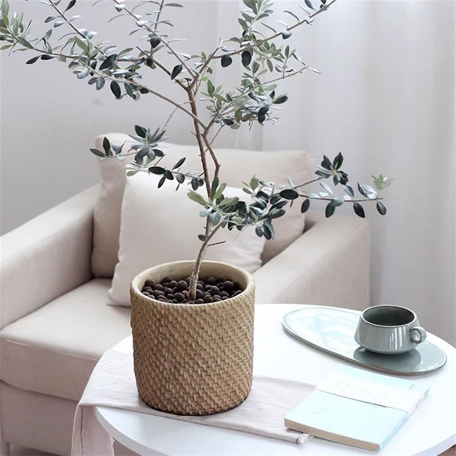 Doniczki do użytku wewnątrz i na cement, mała ceramiczna orchidea, luksusowa, premium, vintage, Phalaenopsis, storczyk, doniczka (mała)