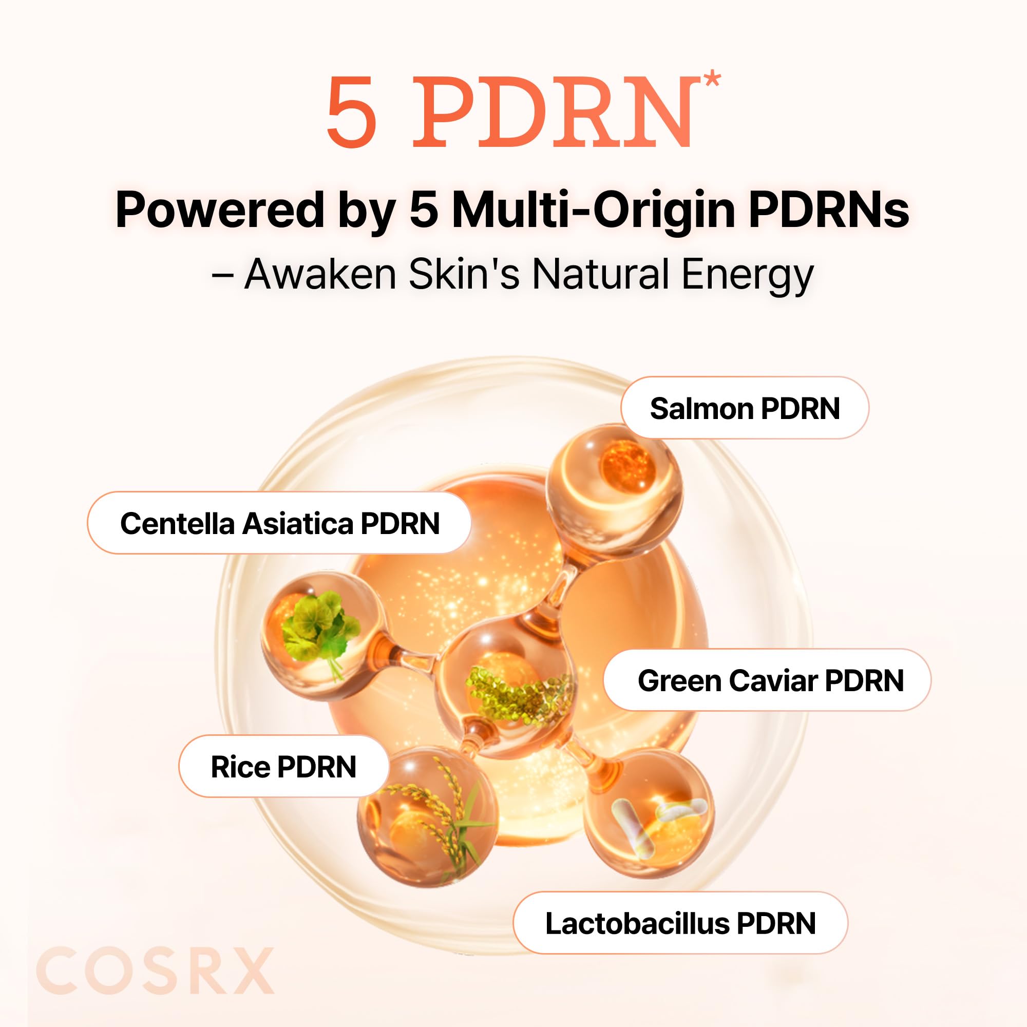 COSRX 5 PDRN B5 Vital Soothing Toner 280 ml – Cura della pelle coreana per la cura e la rivitalizzazione della pelle con DNA di salmone, Centella e Pantenolo