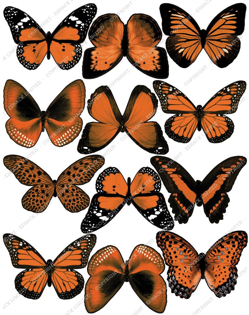 Cakeshop Edible Cake Toppers Est. 2012 Orange Cakeshop 12 X Pre-Cut Edible Butterfly Cake Toppers