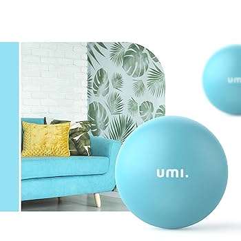 ヤムナ　シーボール 7fe6b21b221264eca516413a1b59e6