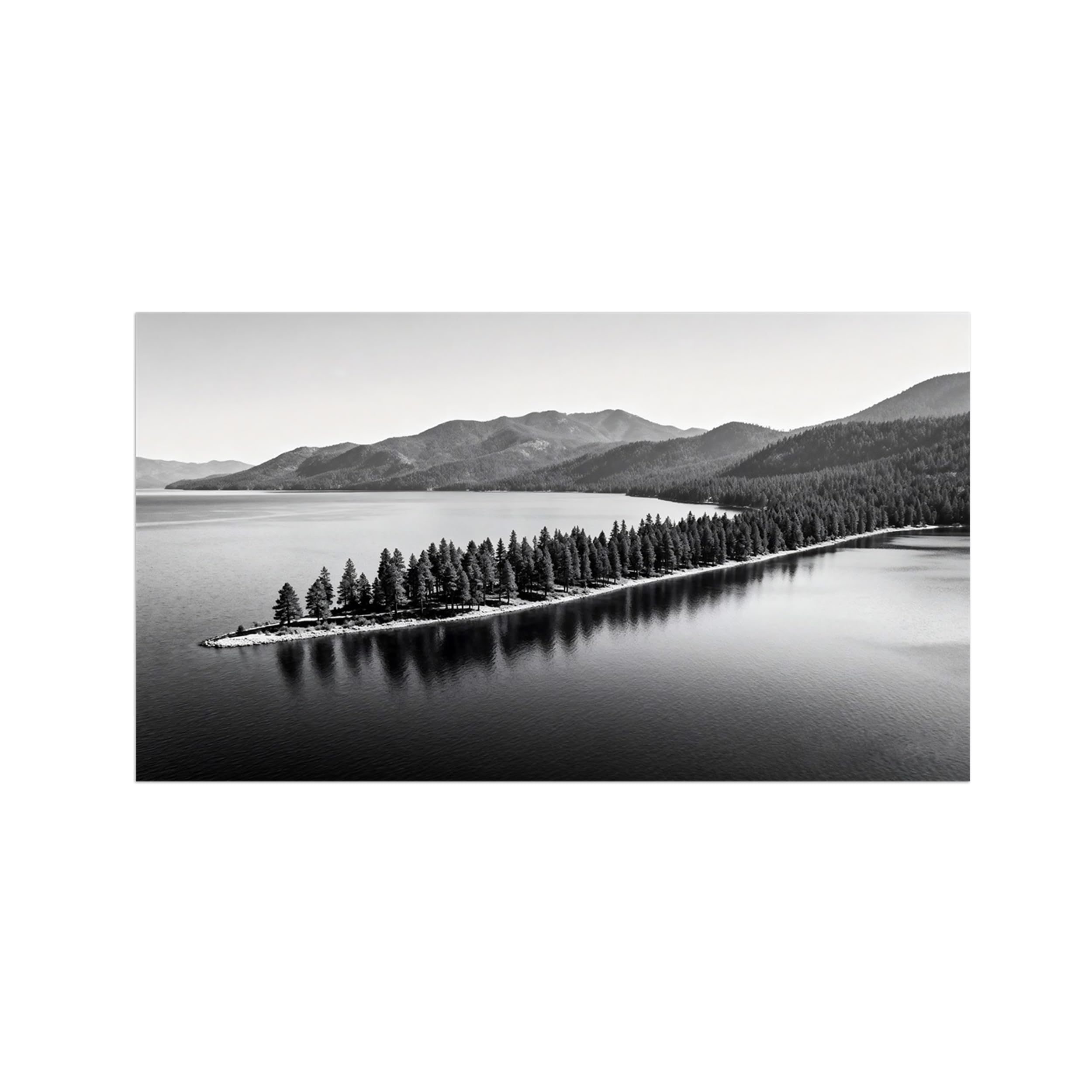 OZPWBVY Lake Forest Black White Landscape Wall Art Prints 40x70cm Unframed