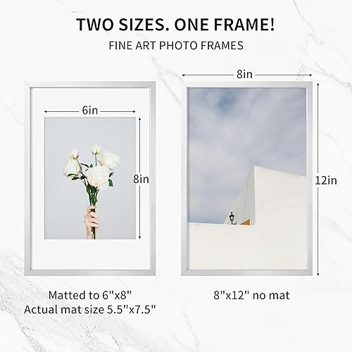 Miniatura 501 de Fun Memories Portarretratos de metal de 16 x 20 pulgadas con paspartú de 11 x 14 pulgadas, acabado de aluminio cepillado, parte delantera de vidrio