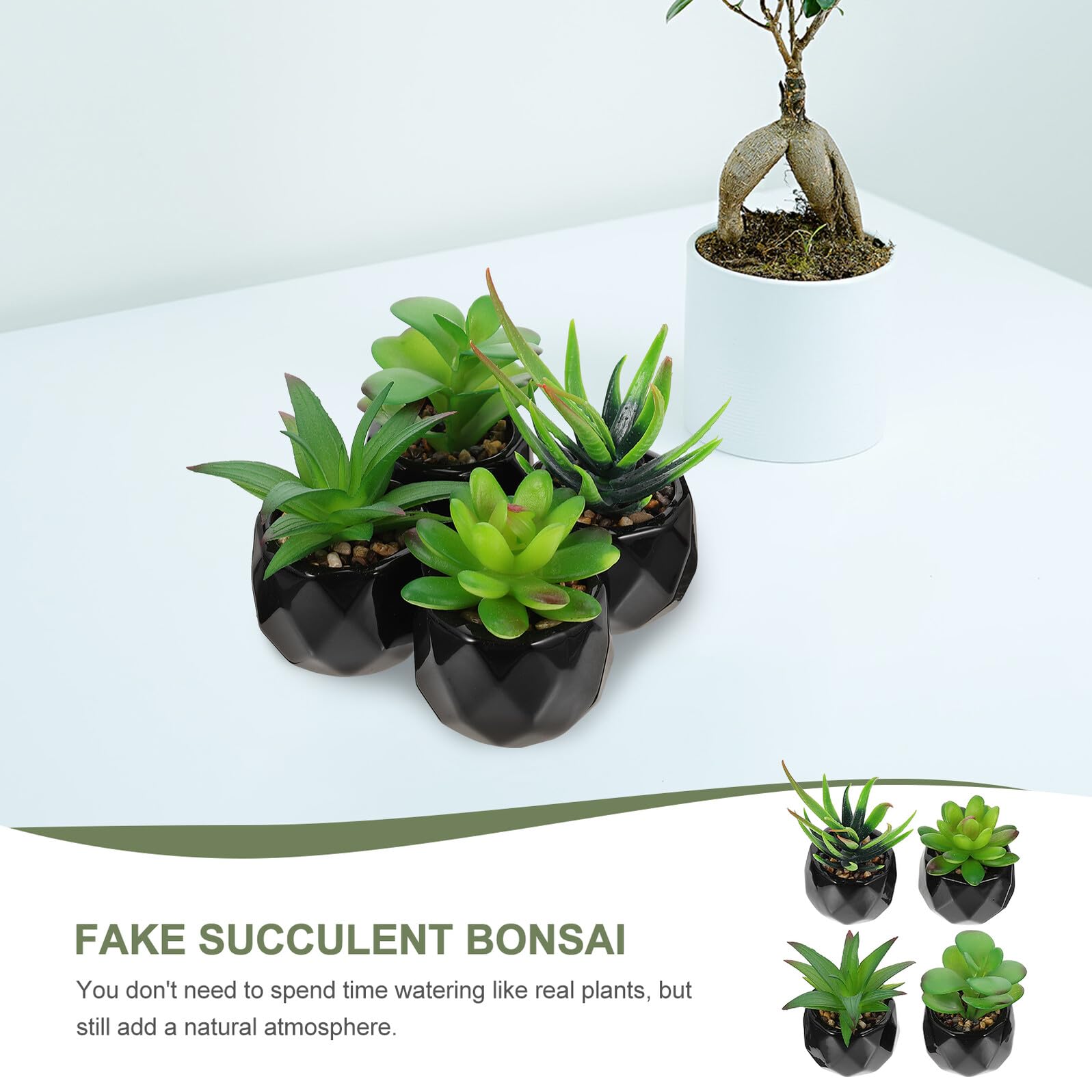 Garneck Plantes Succulentes Artificielles en Plastique 4 Pièces Bonsaï