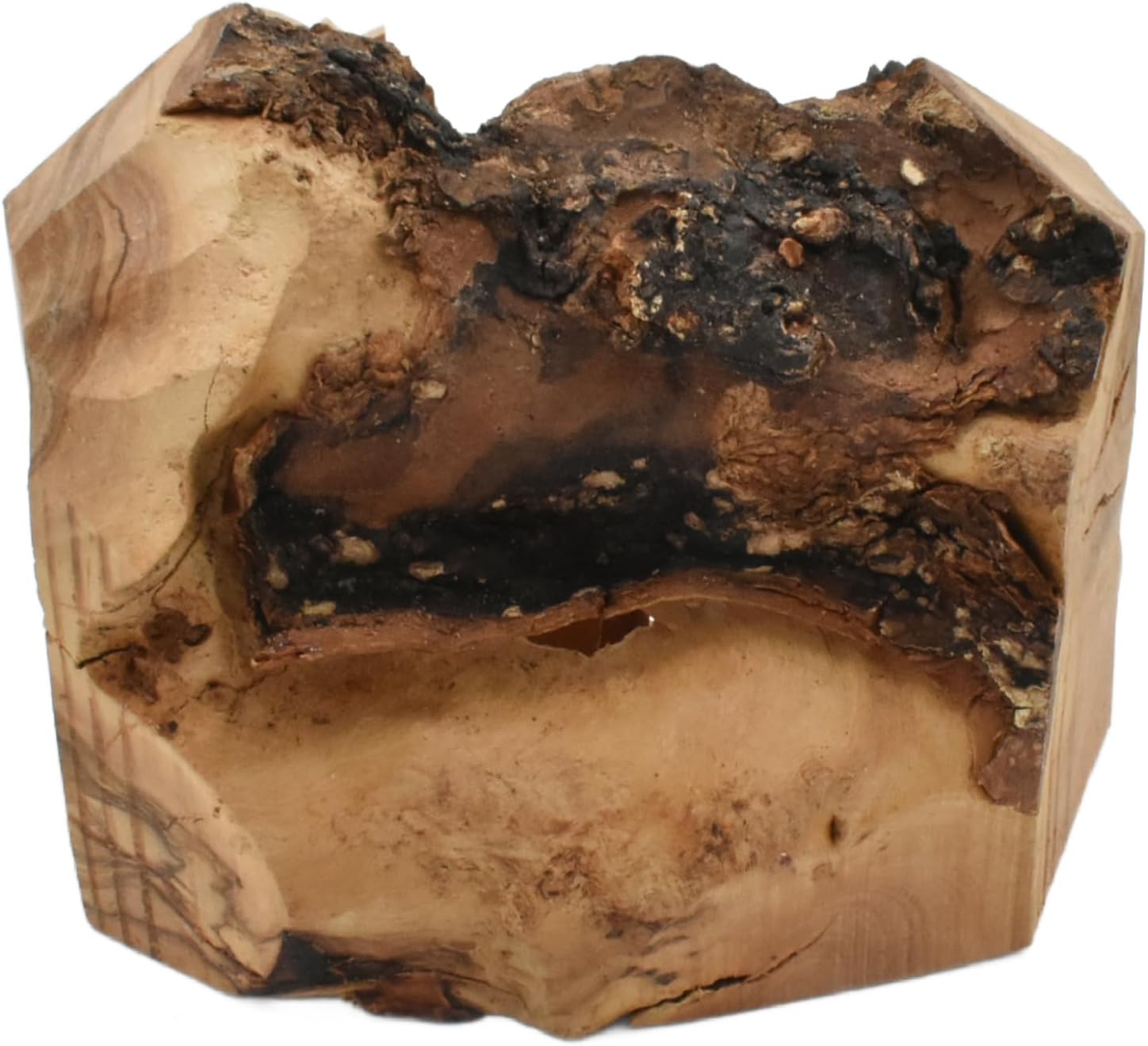 Hand-Carved Olive Wood Nativity Scene in Cave Shape Tree Bark | Made in Bethlehem, Holy Land 6-5 insh