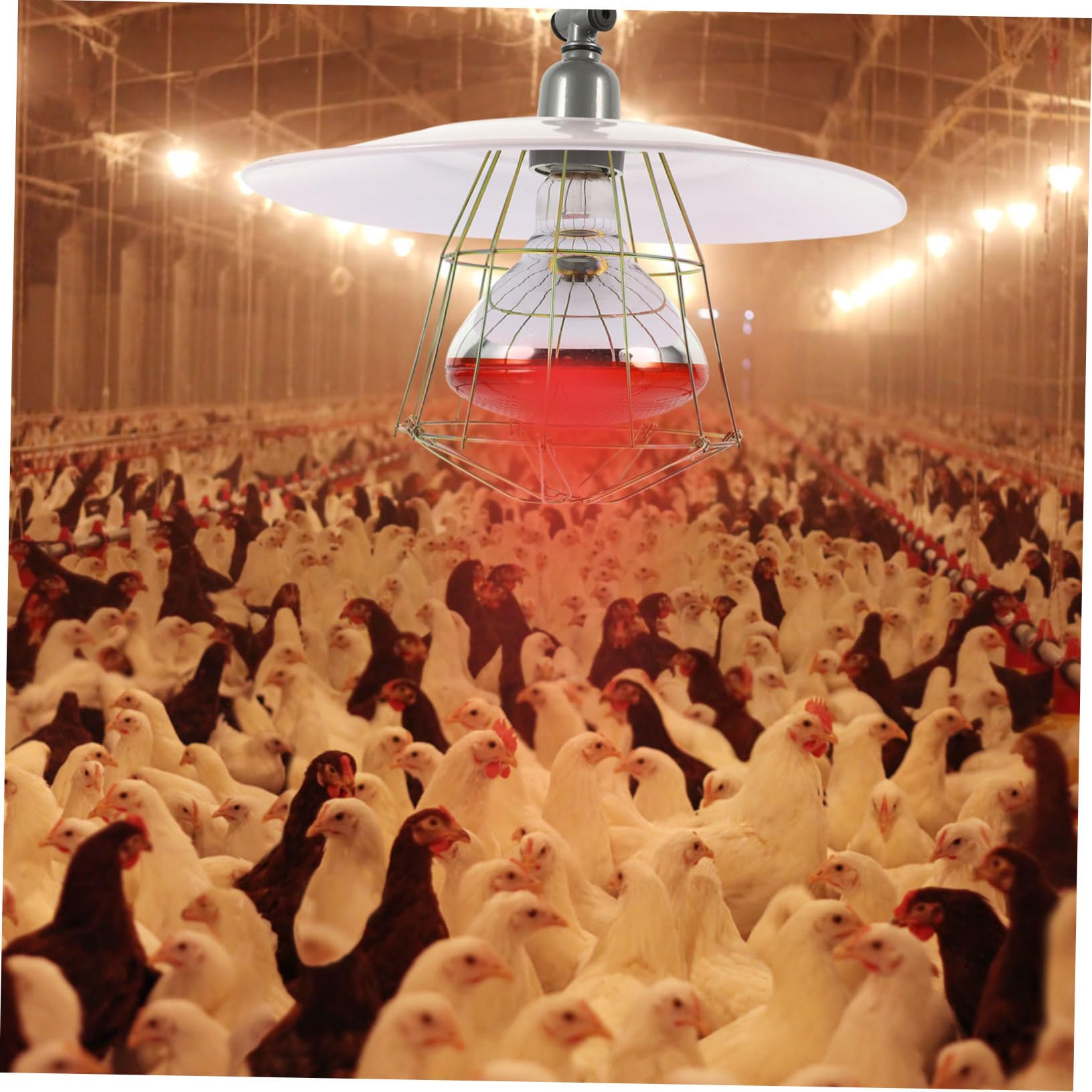 Abaodam Heizlampe für Viehkäfige mit Metallnetz und Aluminium Lampenfassung für Wärmeeffekt und Verformungsbeständigkeit im Kleinen Schweinekäfig und Brutkasten Zufällige Farbe