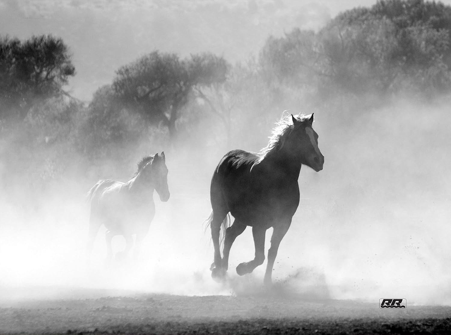 Rogue River Tactical Wild Running Horses Black and White Art Kitchen Glass Cutting Board Decorative Gift Design