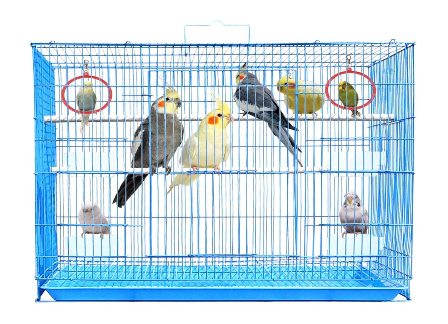 JAINSONS PET PRODUCTS 2.5 Feet Bird Iron Cage For Parakeet, Lovebird, Parrot, Budgie, Cockatiel Cage Hammock 30X18X18 Inch (Color May Vary)-image-25