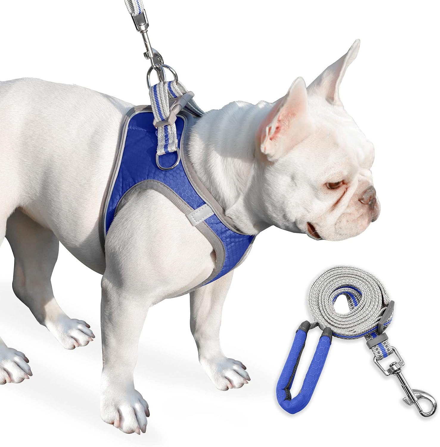 Dog Harness, Dog Harness and Leash Set, Pet Vest Harness, Puppy Cat Vest Harness Escape Proof, Chihuahua Harness, XXS Puppy Harness, Dog Vest Harnesses for Small Dogs Cats (A-1-Blue, XXXS)