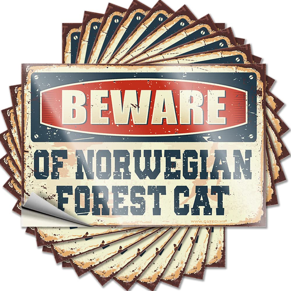 Beware of Norwegian Forest Cat Bedroom Decorations Golden - Decals Nice Waterproof Decal(6X9CM)