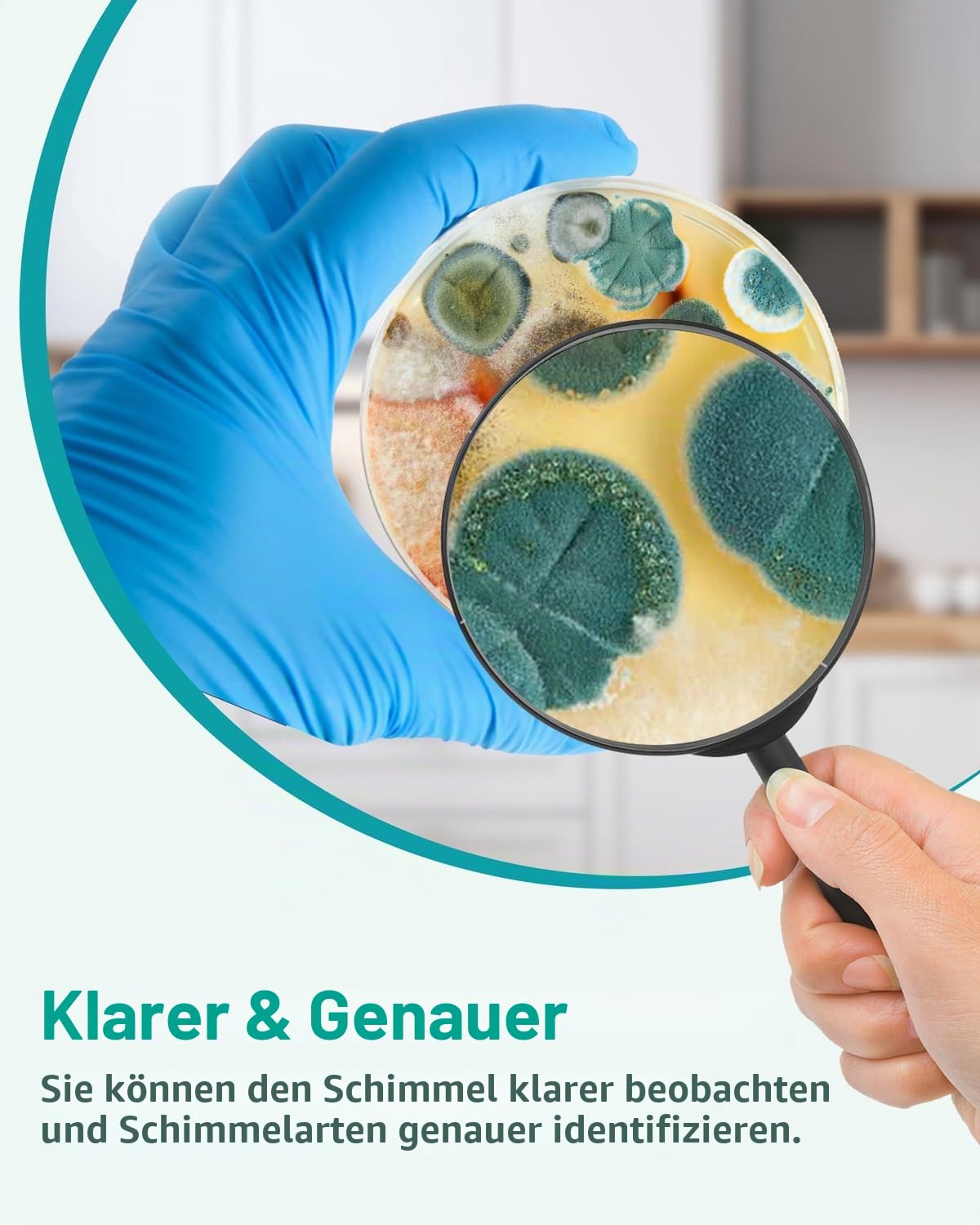 Mold Test-Set für Zuhause – 4 einfache Erkennungstests für HVAC, Oberflächen & Innenluftqualität, DIY Black Mold-Detektor-Testing-Kit zu Hause, mit detaillierter Identifikationshilfe & 5 x Magnifying