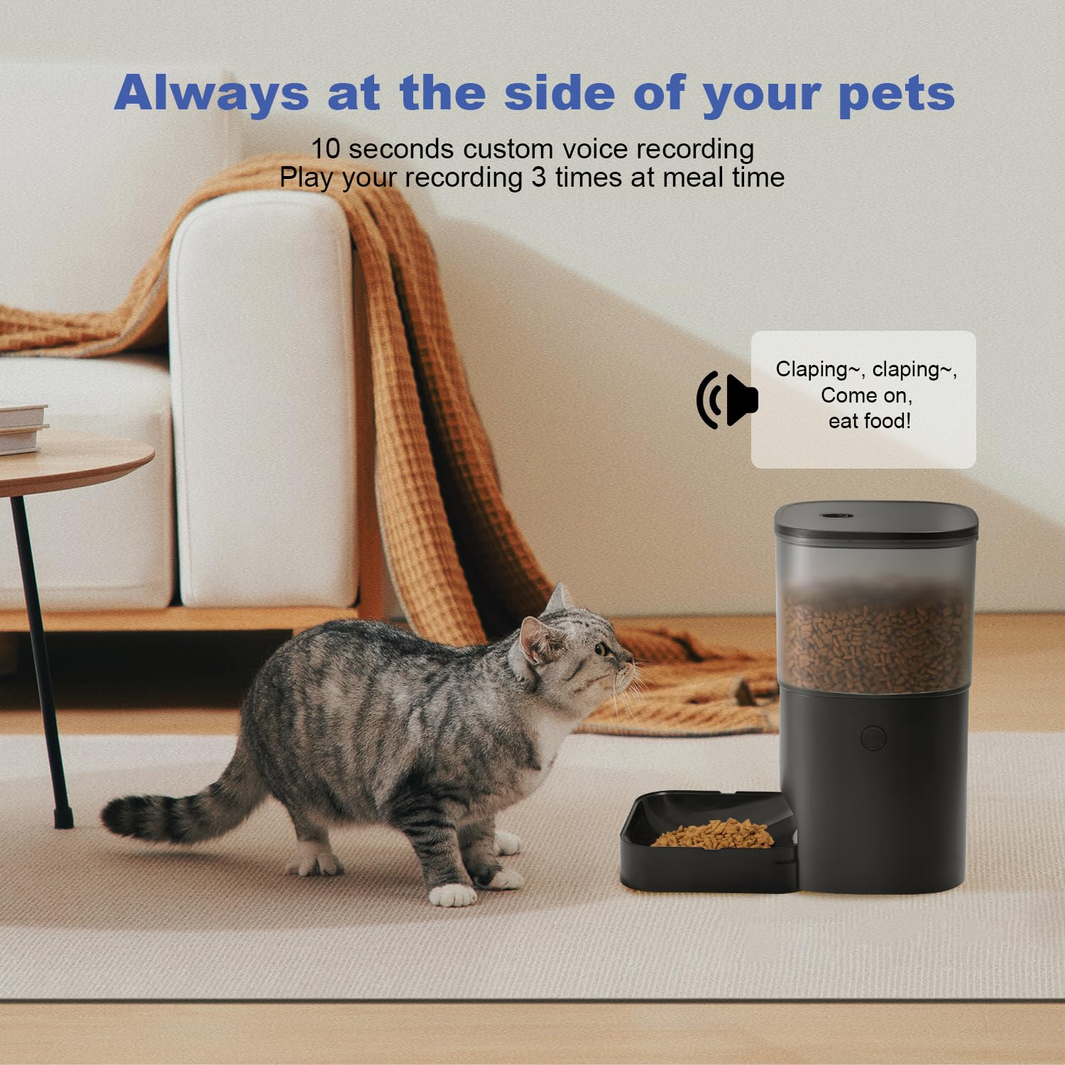 ANDOLL HOME Automatic Cat Feeder,4L Timed Cat＆Dog Dry Food Dispenser view 7