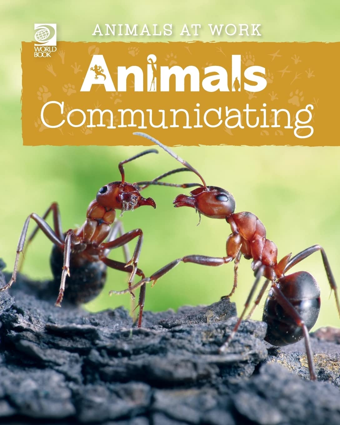 Animals Communicating (Animals at Work)