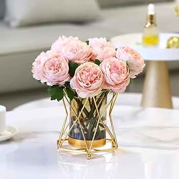 71jT0Tkc-WL._AC_UF350,