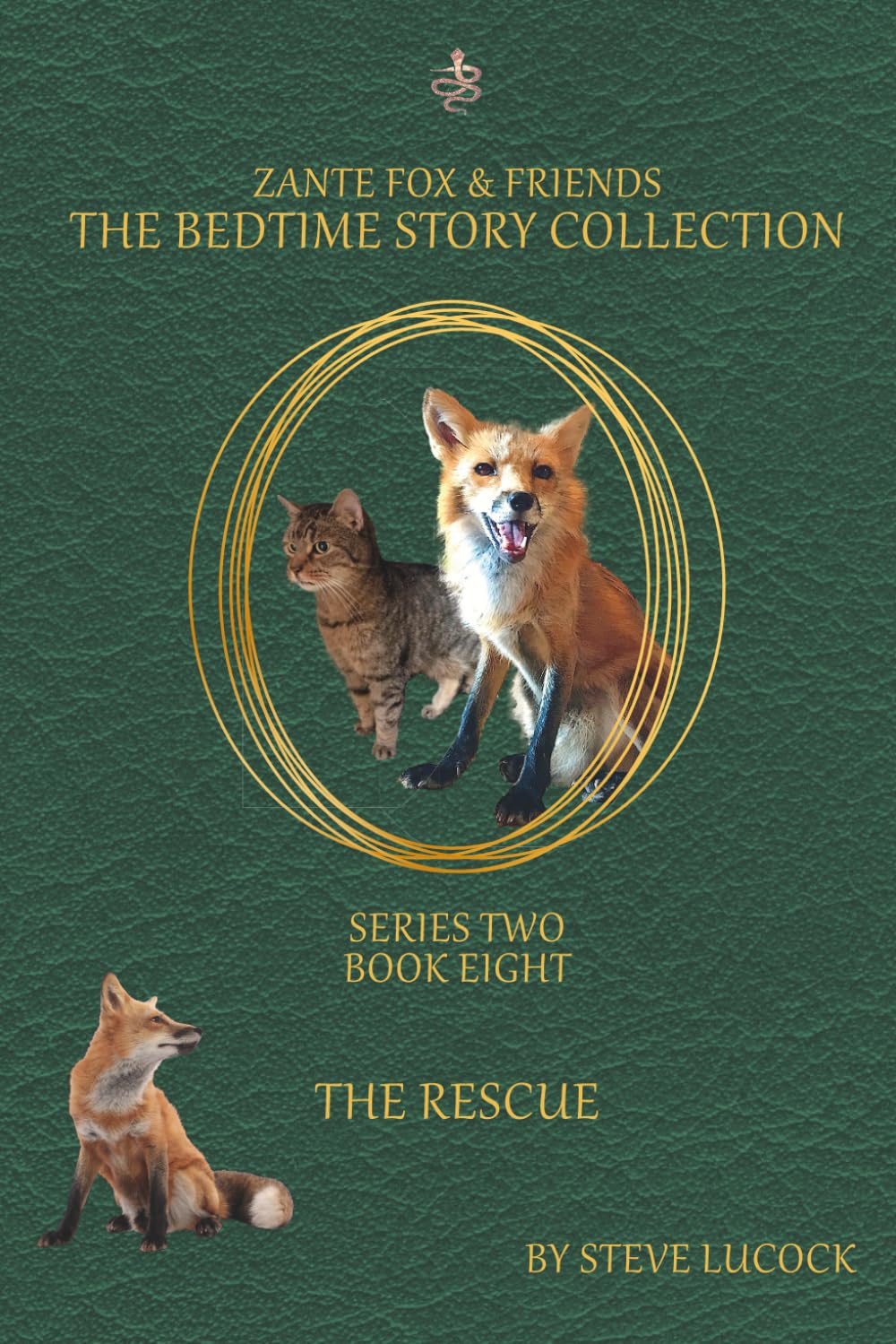 The Rescue (The Bedtime Story Collection - Series 2)