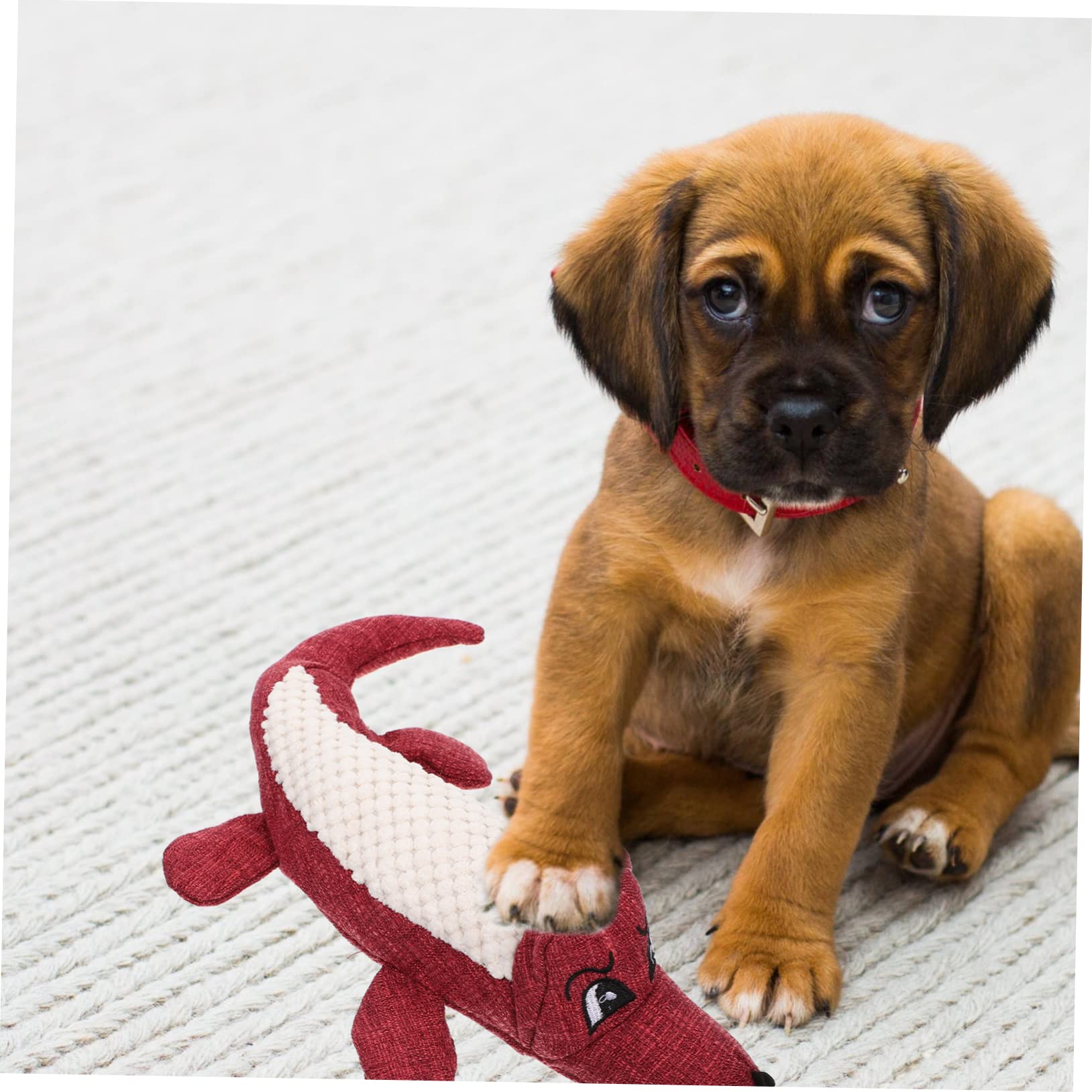 minkissy 5 piezas de juguete de peluche para perros juguetes chirriantes para mascotas juguete de peluche para masticar para mascotas juguete de muñeca juguete de peluche para masticar juguetes de