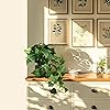 Product Photo 5