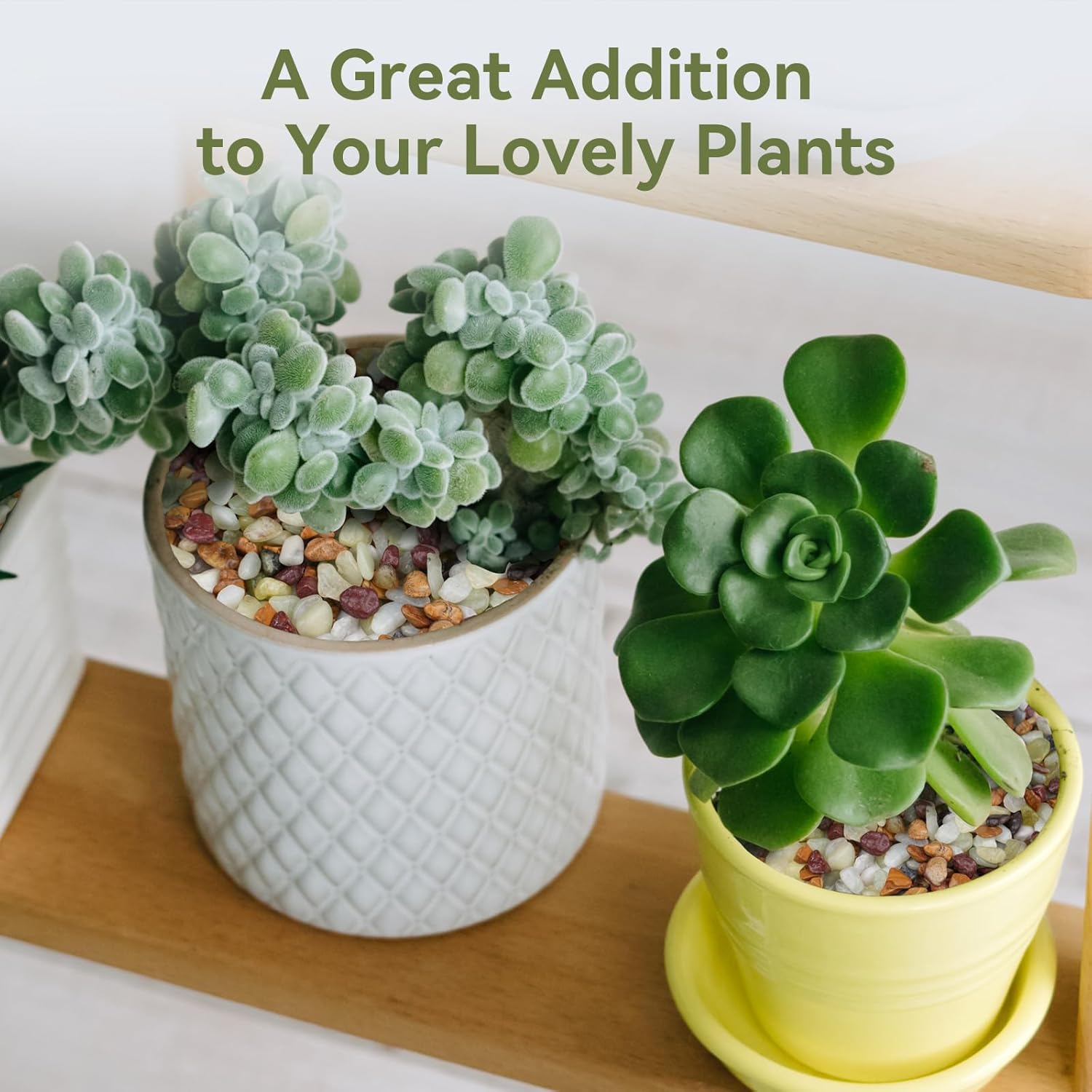 Pulovin 10 lbs Pebbles for Indoor Plants, Succulent Rocks, 3/8" Polished Pebbles for Bamboo, Vase, Terrarium, Natural Decorative Small River Rocks for Crafts, Cactus, Outdoor Garden Landscaping