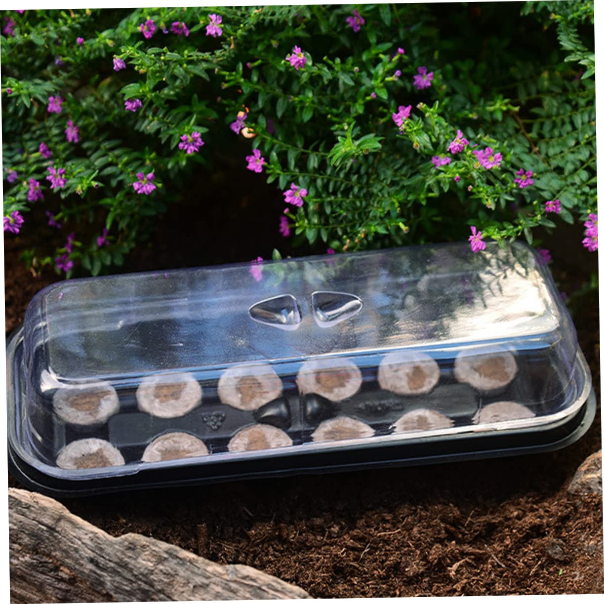 Sosoport 12 Set Scatola di Semina del Vassoio della Piantina Vassoi per La Coltivazione di Microgreens Vassoi per La Germinazione delle Piante Kit per La Germinazione delle Piante Plastica