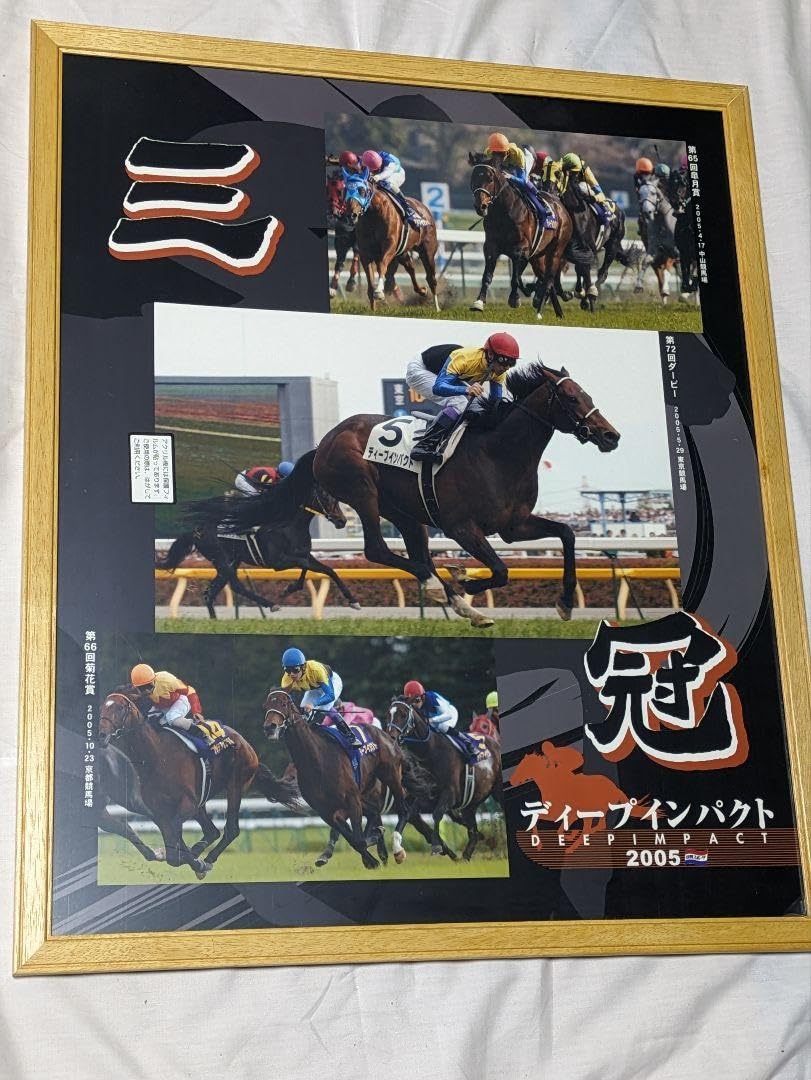 Amazon.co.jp: ディープインパクト 武豊 三冠 競走馬 写真パネル 額縁 