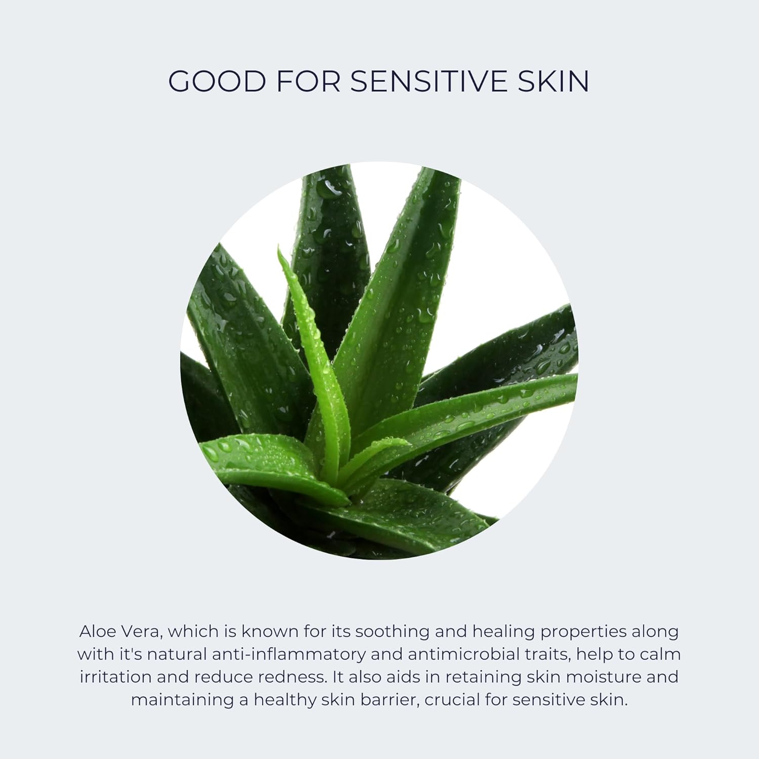 Alana Mitchell Daily Vitamin C Serum for Face – Hydrating Face Moisturizer for Women & Men – Anti Aging Face Serum w/Natural Ingredients – Facial Skin Care Products for All Skin Types (2 oz)