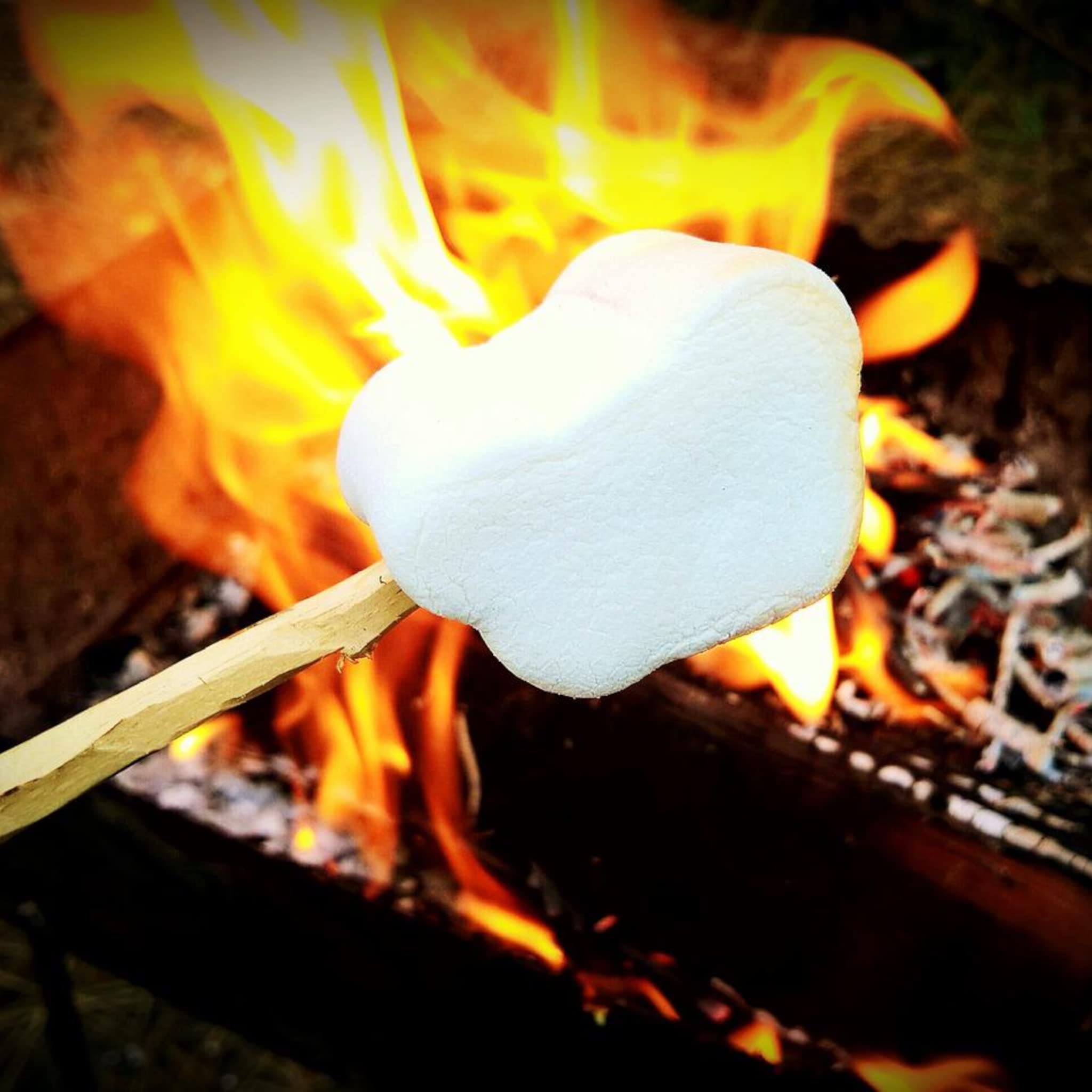 BBQ Marshmallows – Barbecue uczta na słodycze – puszyste, beztłuszczowe i bezglutenowe – cukierek piankowy do przeżyć przy ognisku, worek 300 g z 6 drewnianymi patyczkami – czekoladowe fondue lub
