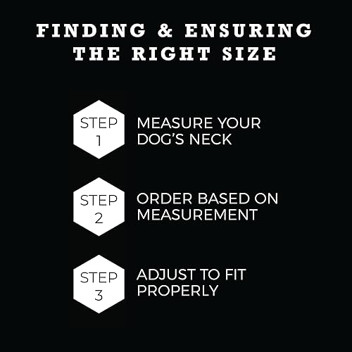 Miniatura 3 de Wolfgang Man & Beast - Collar de cincha Martingale para perros de tamaño pequeño, mediano y grande, BrookTrout impresión
