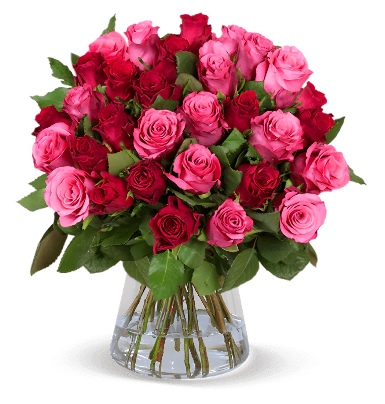 Blume Ideal Rosenstrauß - Rosen in verschiedenen Farben und Mengen - Ø 40–50 cm - Echte premium Blumen für Hochzeit & Deko - 7 Tage Frischegarantie