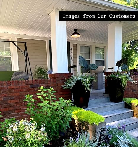 Miniatura 5 de HMVPL - Lámpara de techo industrial, cerca del techo, lámpara colgante de transición para isla de cocina, comedor, vestíbulo, pasillo, porche,