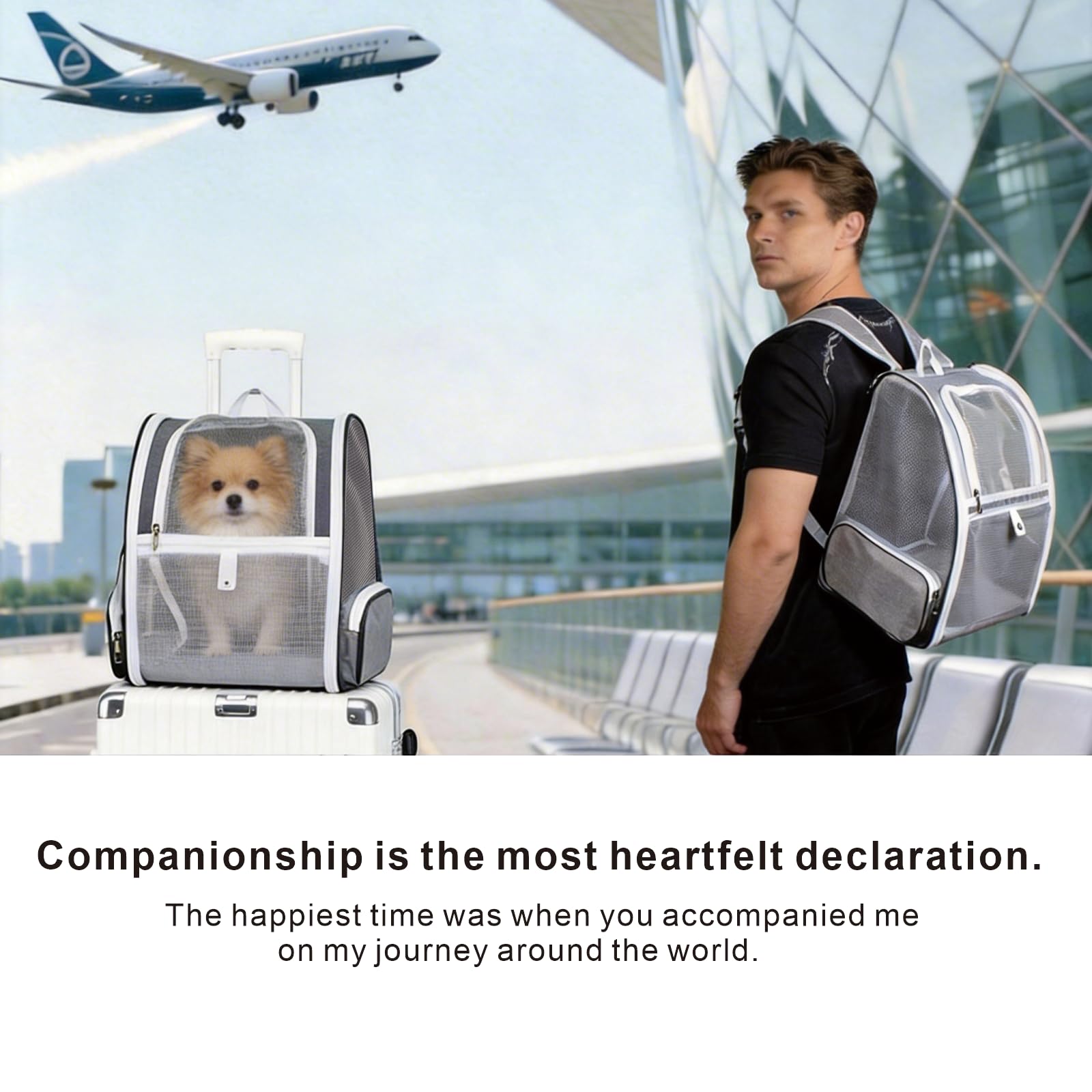 Zaino per gatti, cuccioli, cani e uccelli, in pelle di alta qualità, approvato dalle compagnie aeree, trasportino trasparente per capsule, per viaggio/escursionismo/uso all'aperto