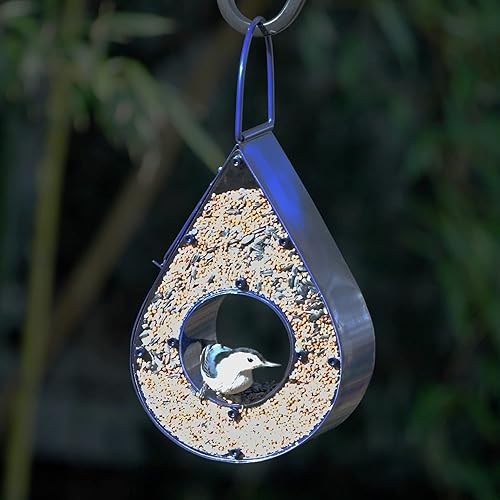 Miniatura 4 de Good Directions BF300B - Comedero para pájaros con caída de lluvia, acabado azul vibrante, paneles de plexiglás