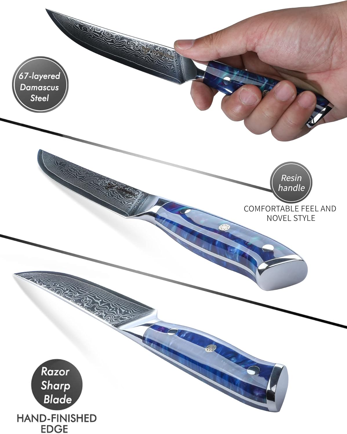 Steak Knives Set of 4, Ultra Sharp Non Serrated Kitchen Steak Knife 5 Inch - Damascus Steel & Resin Handle - Xuan Series (Sapphire Blue)