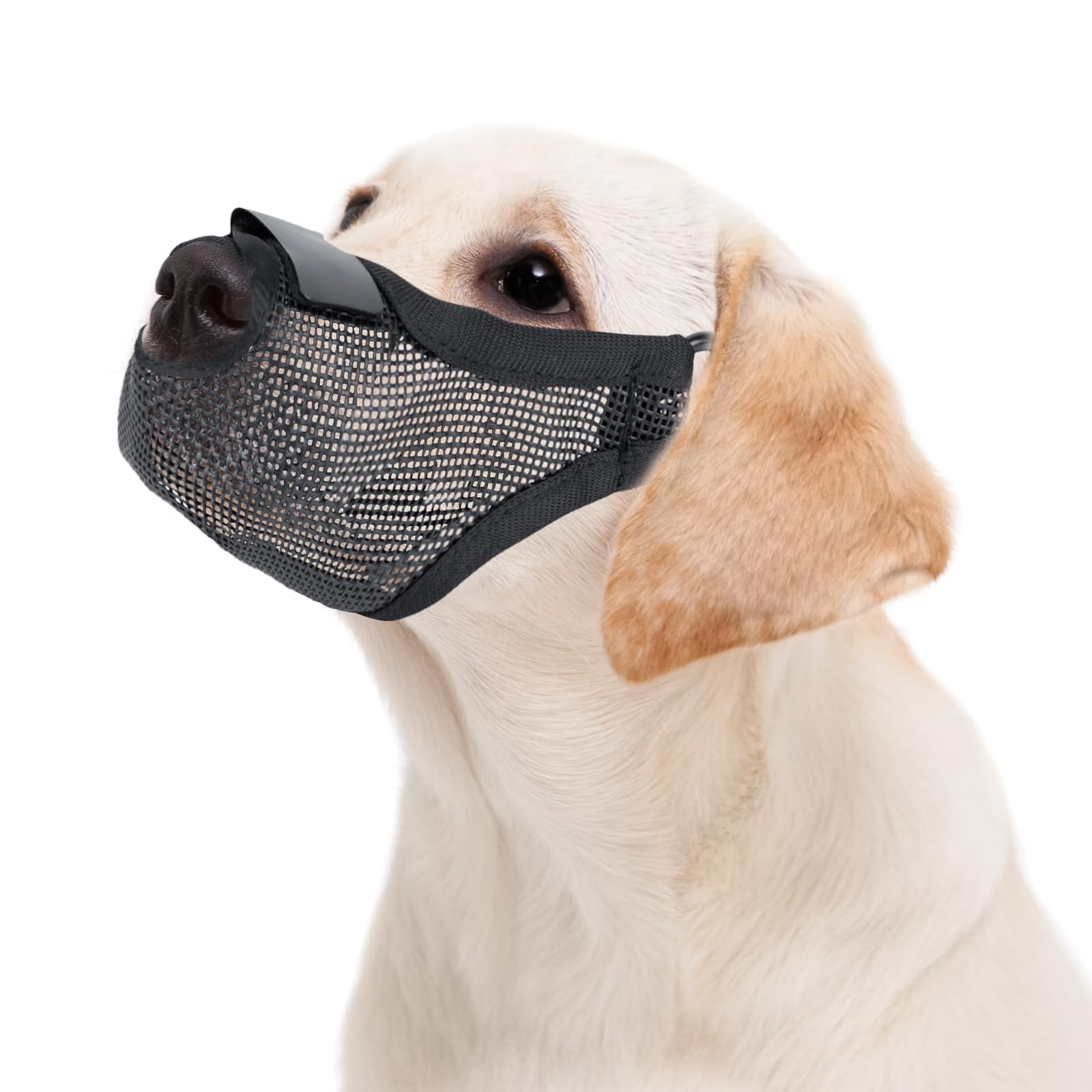FACHOI Dog Muzzle, Soft Mesh Muzzle for Small Medium Large Dogs for Scavenging Biting Licking and Chewing, Allows to Pant and Drink F6-WGGZT(Black, M)
