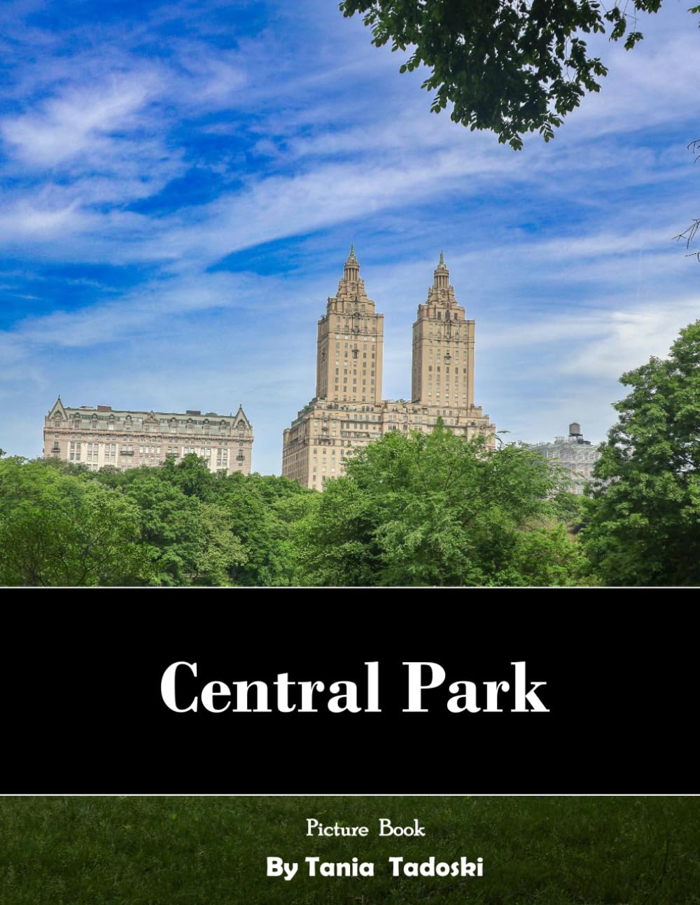 Central Park: Central Park: Green Oasis, Bridges, Lakes, Skyline, New York and More