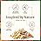SVA Frankincense Essential Oil - 1 Fl Oz - 100% Natural Boswellia Serrata Oil - for Diffuser, Hair Care, Face, Skin Care, Aromatherapy, Scalp and Body Massage, Soap and Candle Making - with Dropper