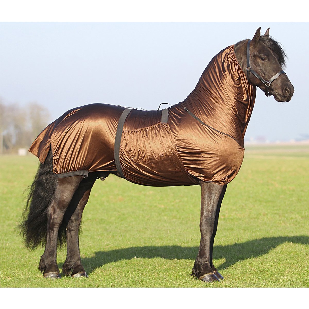 QHP Ekzemdecke für Friesen + großrahmige Pferde Hals großer Bauchlatz braun (145 cm)