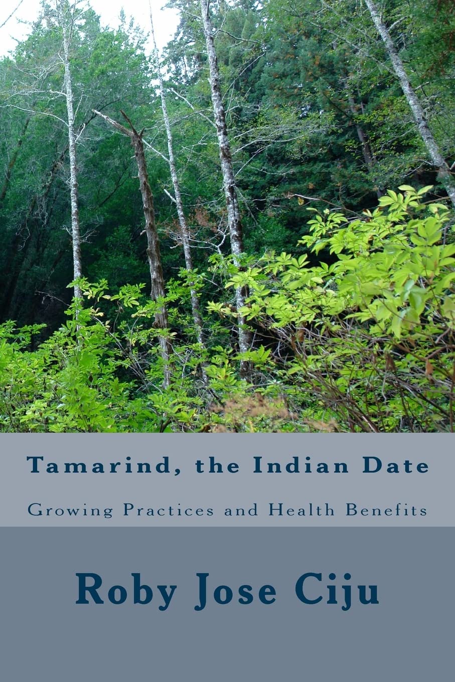 Tamarind, the Indian Date: Growing Practices and Health Benefits Paperback – Import, 18 December 2014