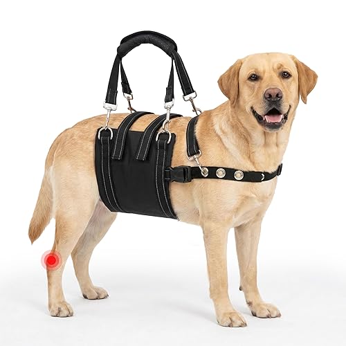 CWV Adjustable All Dog Lift Harness for Large Dogs, Soft