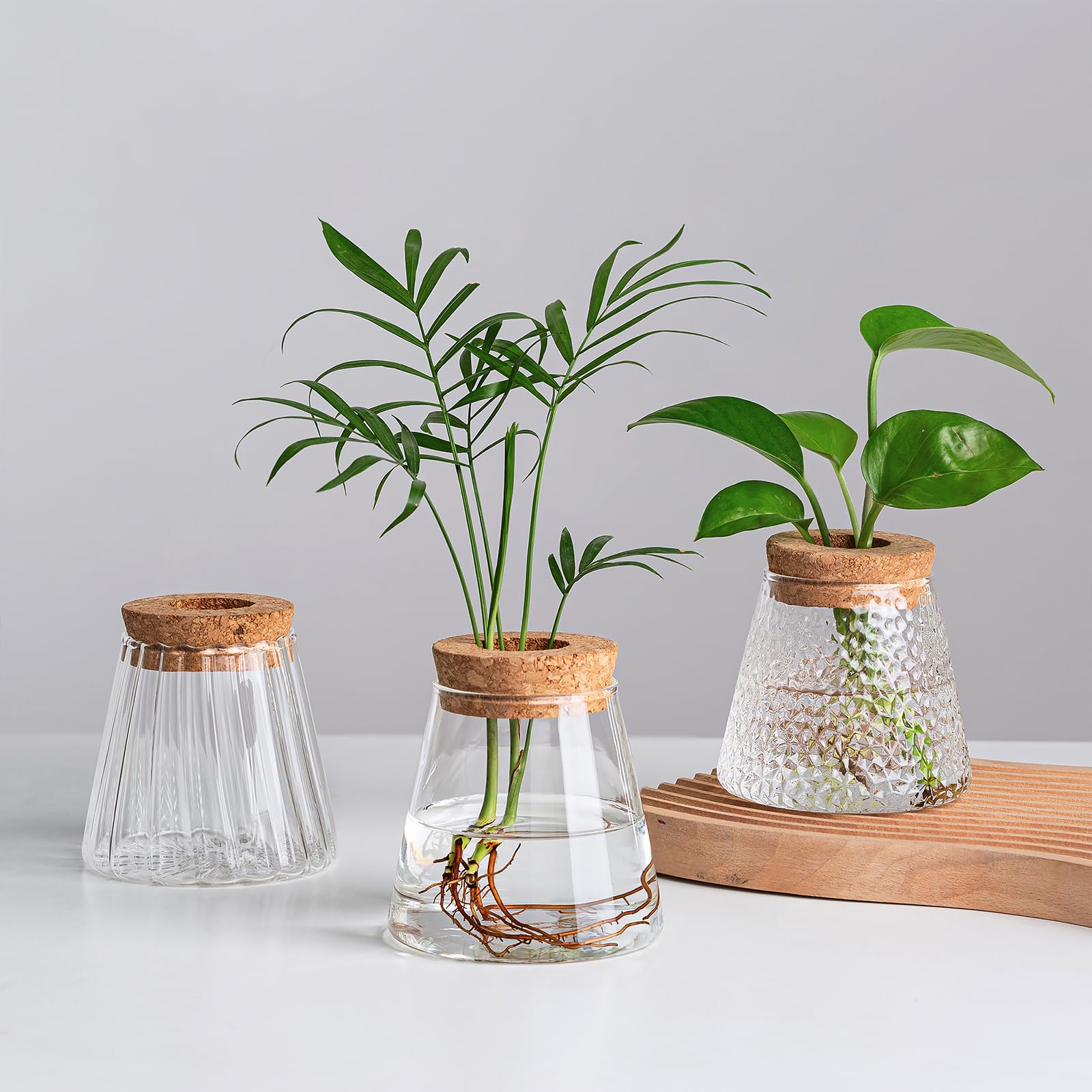 TREND FOR HOME Vaso Fiori da Interno in Vetro Trasparente - Moderno Design per Decorazioni Casa, Altezza 19 cm, Aster, 1325 ml