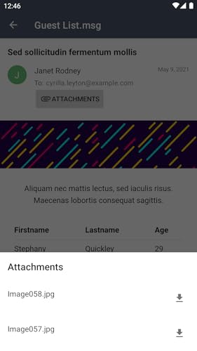 Email Viewer