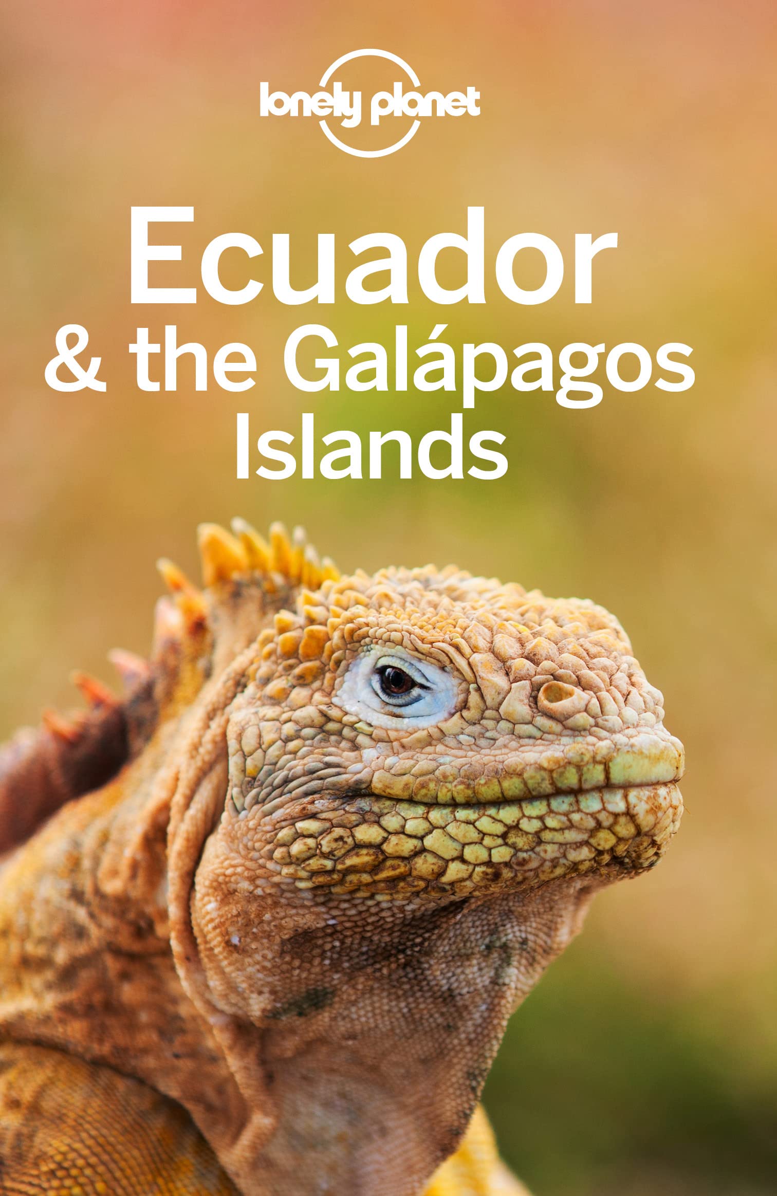 Lonely Planet Ecuador & the Galapagos Islands (Travel Guide)