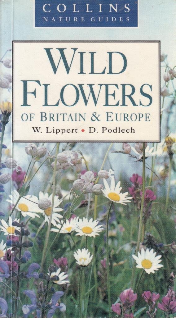 British Wild Flowers A Photographic Guide To Every Common Species
