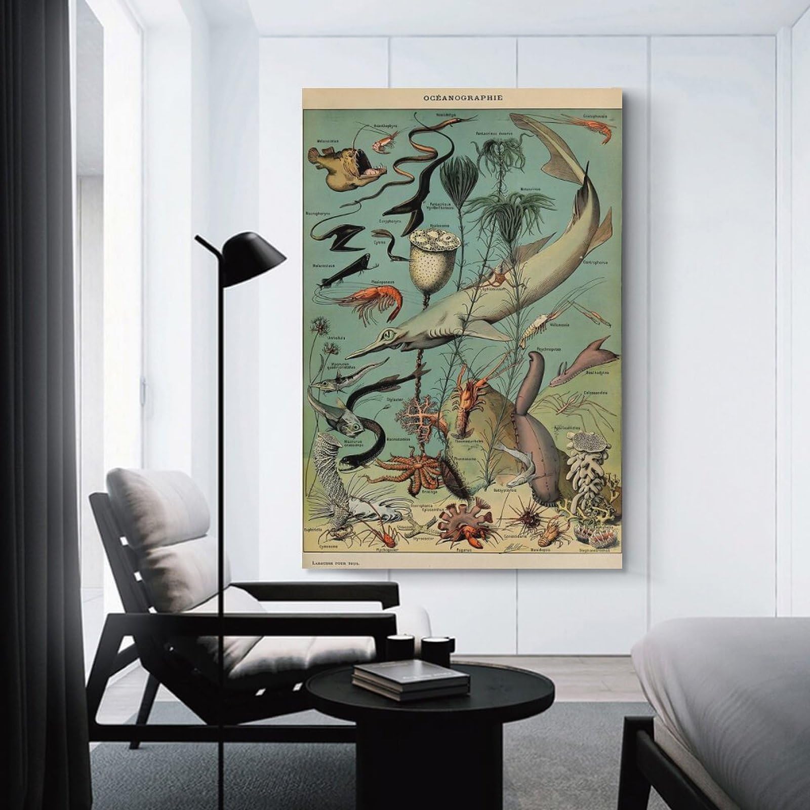 Junmoney Ocean Life Canvas Wall Decor, 08x12inch(20x30cm), for Apartment Walls, Studios Or Work Areas, Decorative Canvas Decor for Home Updates