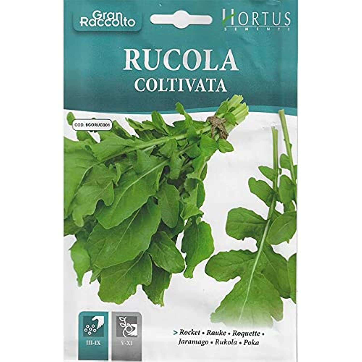 Hortus Rocket Premium Quality Seeds (Rucola Coltivata) (Made in Italy) by Hortus Sementi