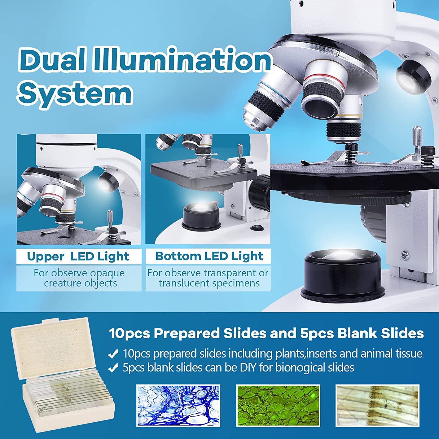 Microscopio Binoculare MAXLAPTER 40X-1000X - Per Bambini E Adulti, Con Adattatore Telefono